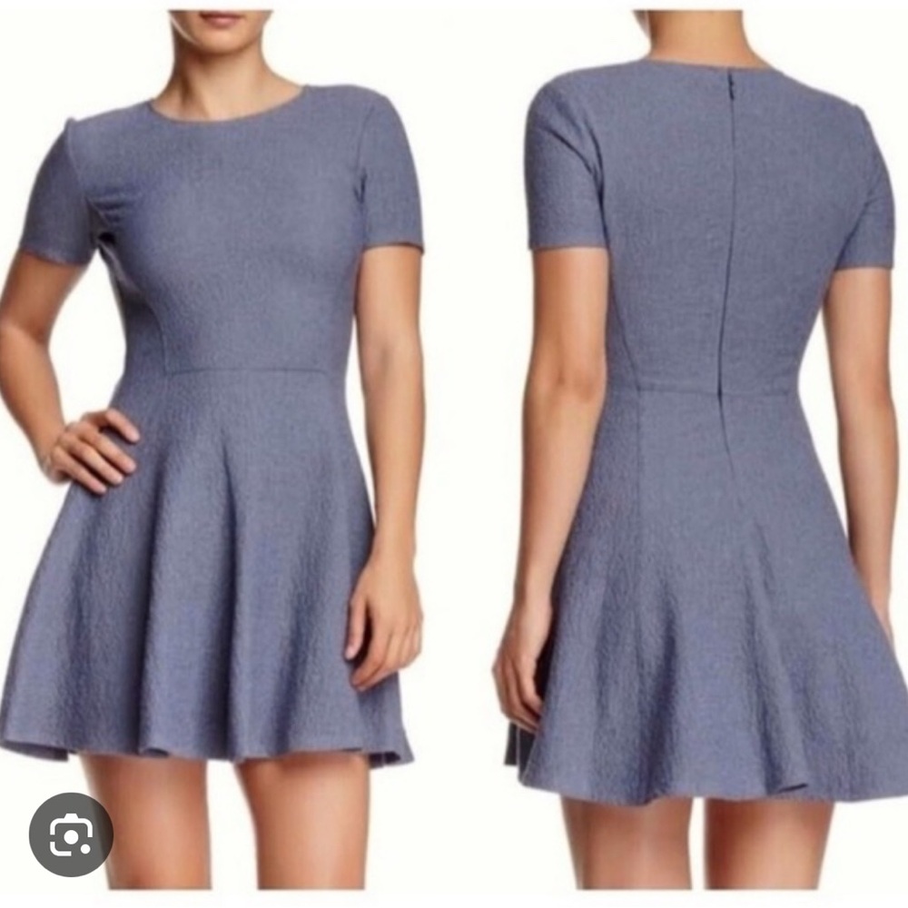 Elegant Blue theory Women's Dress